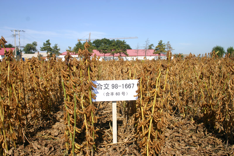 1577752557448006.jpg 1481784100.jpg