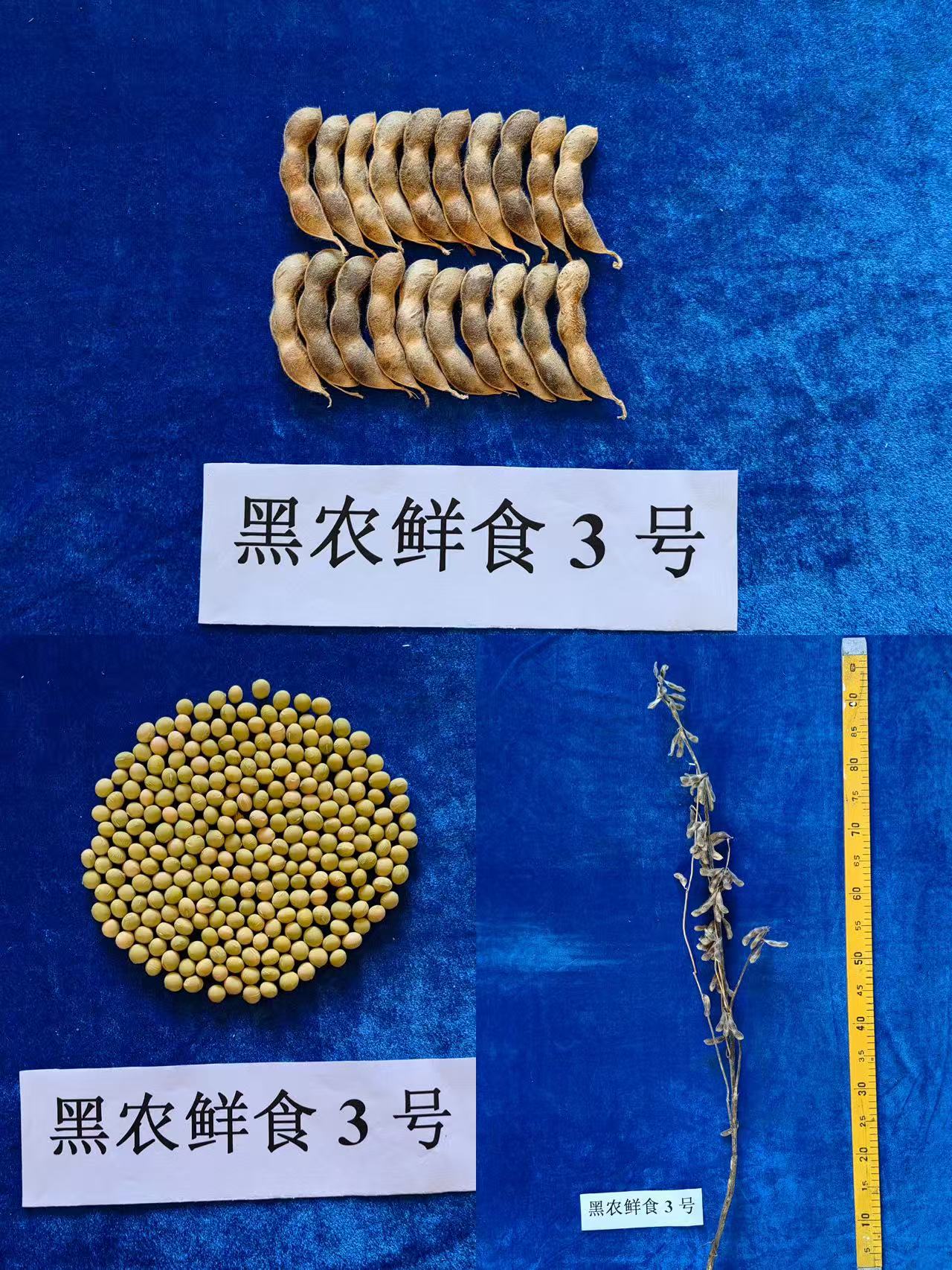 1748585296676889.jpg 715527b29193ace990c3145a17b428d.jpg