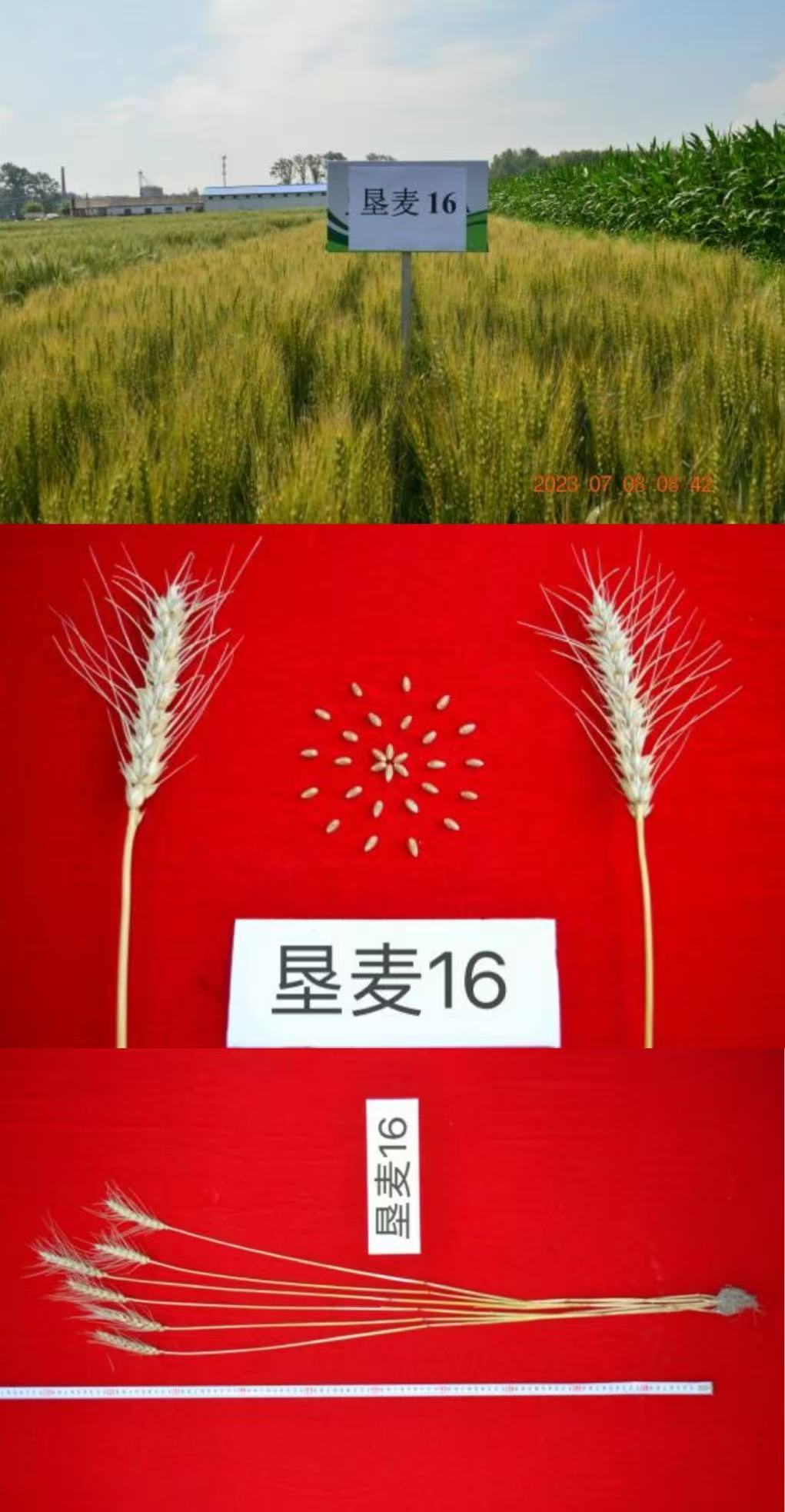 微信图片_20250606084124.jpg