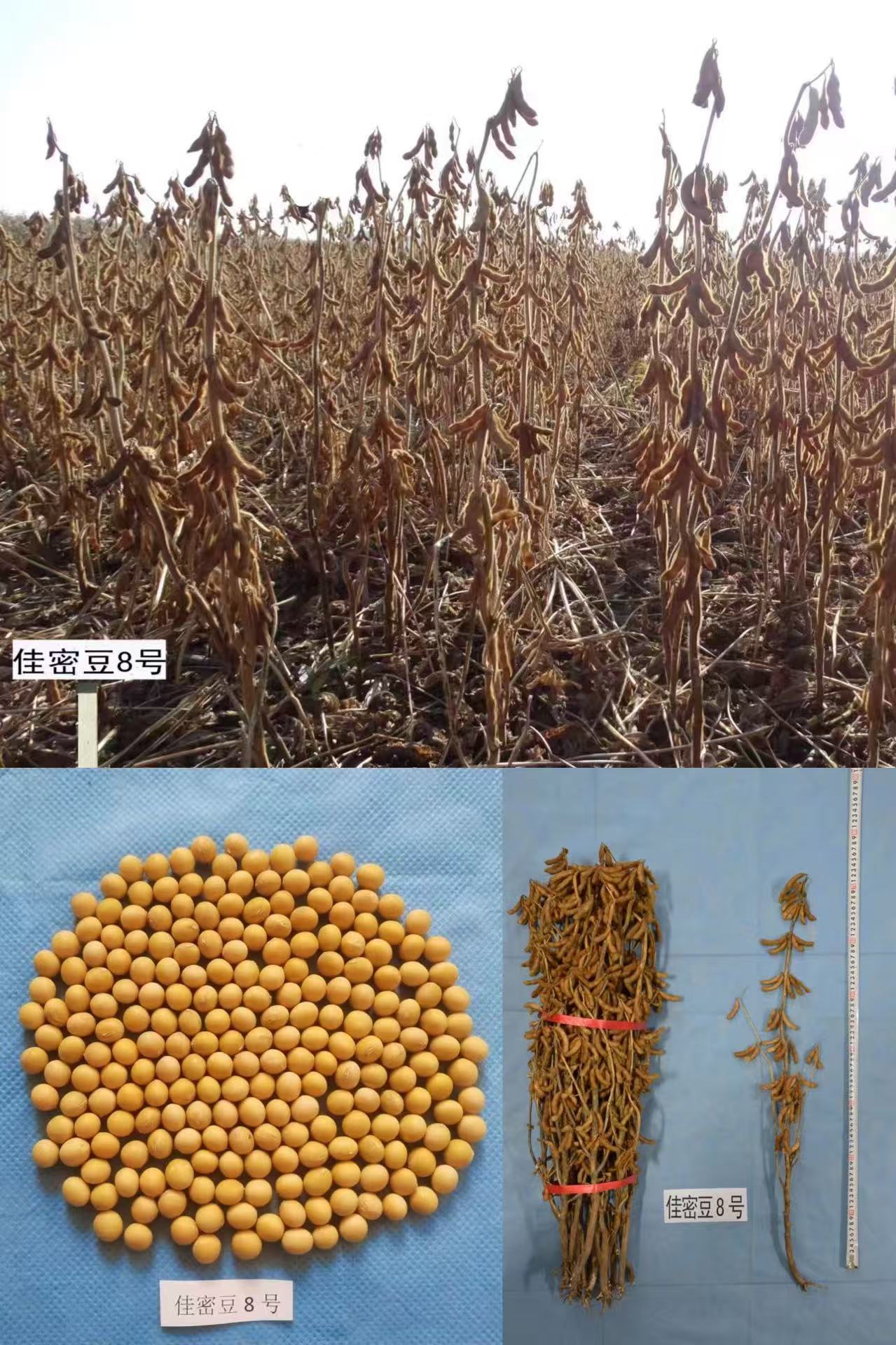 1750034938588886.jpg 微信图片_20250616084842.jpg